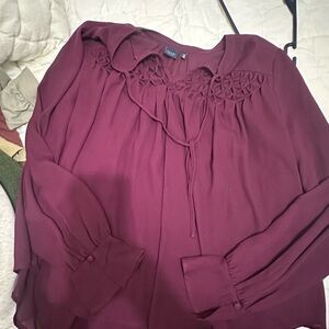 Kaari Blue Rich Burgundy Blouse with Embroidered Accents